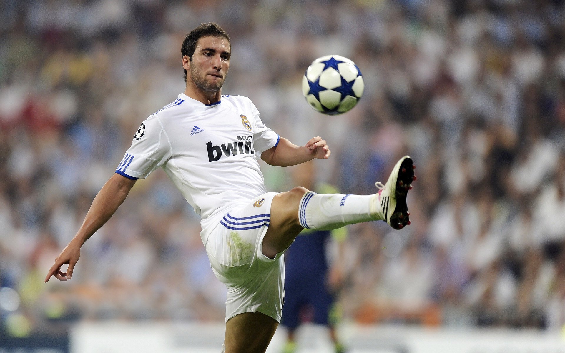 体育赛事市场规模报告